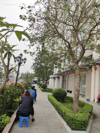 Bán gấp giá rẻ chung cư viện 103 nguyễn khuyến 83m, tầng 7497258
