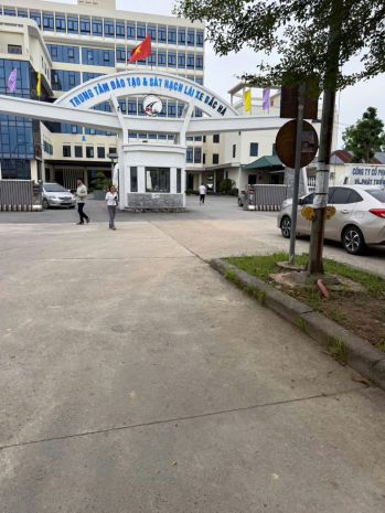 Tuyển sinh đào tạo và sát hạch lái xe ô tô các hạng 7497376