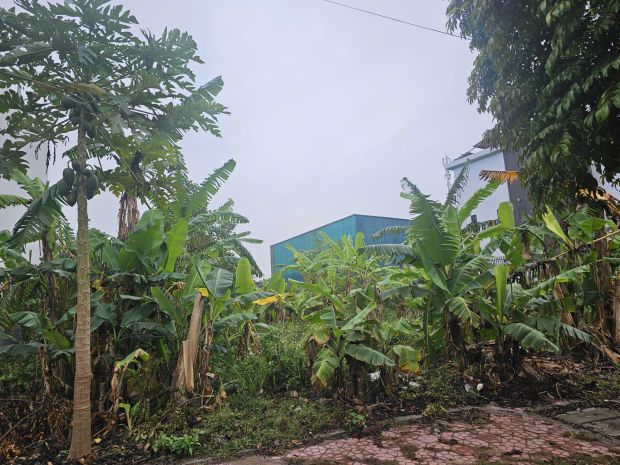 Bán đất khu đô thị phía tây cầu phú lương  vị trí đẹp đầu t 7498981