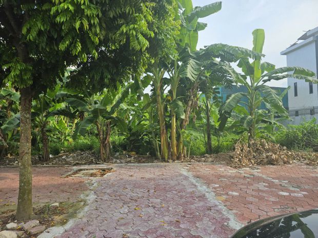Cần bán lô đất thuộc khu đô thị phía tây cầu phú lương, phườ 7499244