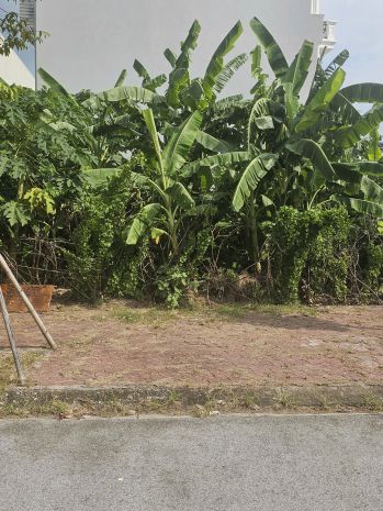 Đất vị trí đẹp khu đô thị phía tây cầu phú lương - vị trí và 7499448