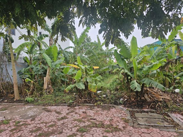 Cần bán lô đất đẹp thuộc khu đô thị quy hoạch bài bản phía 7500106