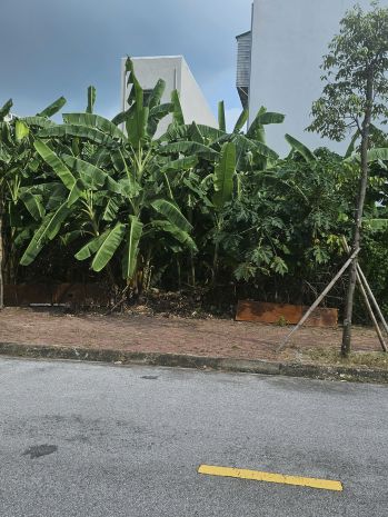 Đất đô thị vị trí đẹp - phía tây cầu phú lương. 7500186