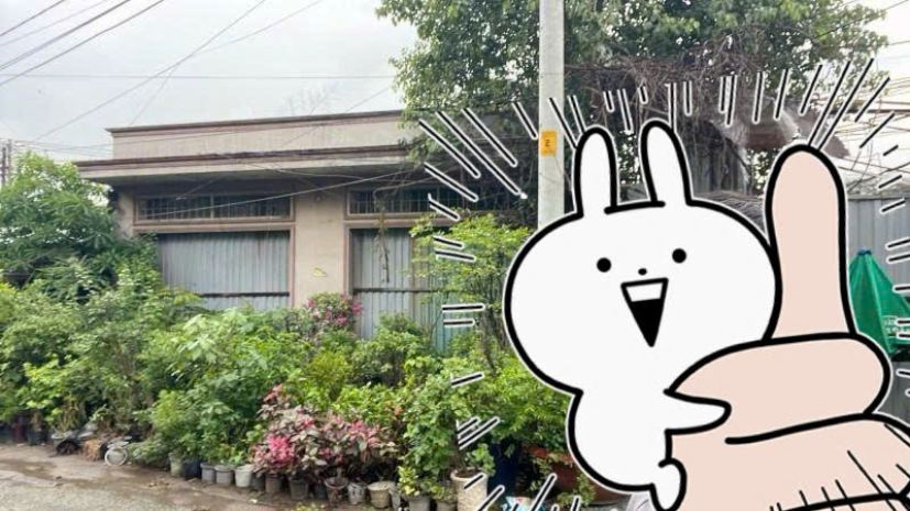 Bán nhà mặt tiền hoàng hữu nam,kế ga metro suối tiên,giảm 7502045