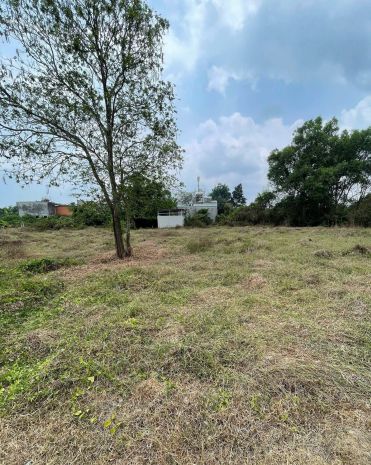 Đất sẵn sổ 490m²  giá tốt tại tân thông hội, củ chi 7504016