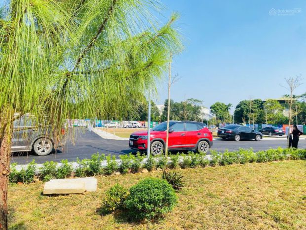 Cân ban nhanh đât trung tâm phú cát 100m² mt 8m ôtô 7504739