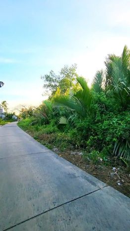 Chính chủ cần bán gấp 109m mặt tiền - sẵn 200 m2 thổ cư 7504864