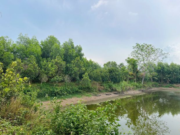 Chính chủ bán 20.000m2 đất tại xã bàu lâm, xuyên mộc - bà 7505127