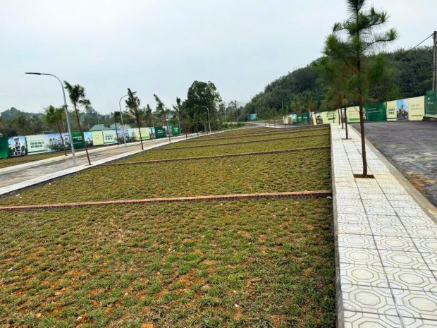 Siêu phẩm đầu tư fo phú cát sát chợ long phú đón sóng ql21 7516292