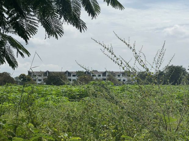 Chính chủ bán đất đẹp đường nguyễn văn cừ  xã phước an, 7517063