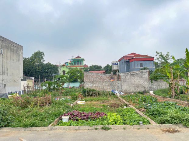 Iêu phẩm ngã 4 trường sĩ quan lục quân 1  vị trí kinh 7517832