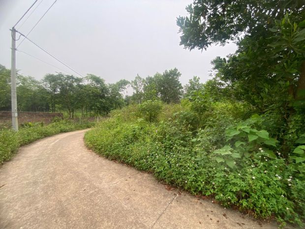 Bán lô đất đẹp tại đa hội  trung giã tp hà nội 7522123
