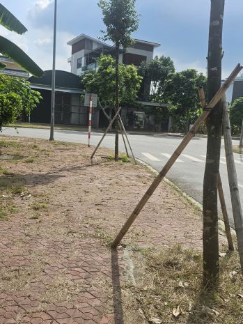 Cần chuyển nhượng lô đất diện tích 250m² tại nhị châu 7522395