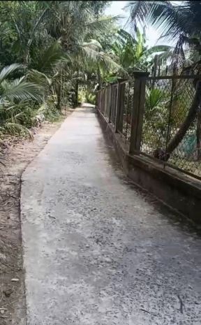 Chính chủ cần bán nhanh đất lúa 2.000m2 giá tốt tại xã phú 7523572