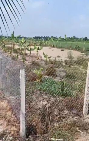 Chính chủ cần bán nhanh đất lúa 2.000m2 giá tốt tại xã phú 7523575