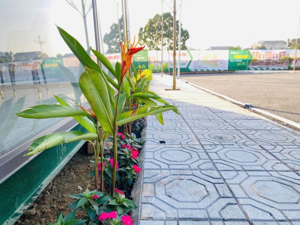 Đất nền đô thị khu hòa lạc vị trí vàng đón sóng phát triển 7526726