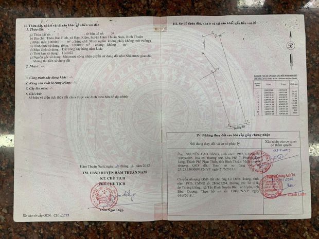 Hot hot  chính chủ bán đất có  900 trụ thanh long tặng kèm 7527101