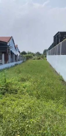 Chính chủ bán 1000m2 đất tại ấp 5, tân hòa, huyện bến lức, 7527573