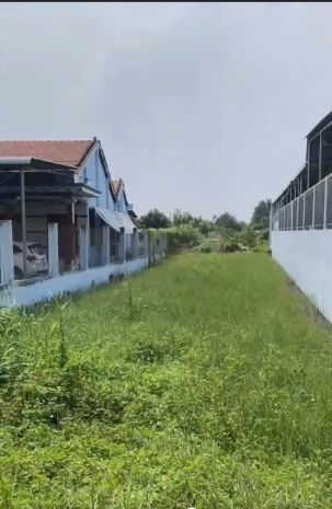 Chính chủ bán 1000m2 đất tại ấp 5, tân hòa, huyện bến lức, 7527574