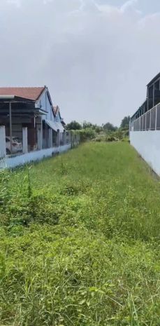 Chính chủ bán 1000m2 đất tại ấp 5, tân hòa, huyện bến lức, 7527575