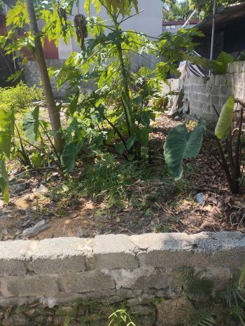 Cần bán 80m2 đất mỹ đức chỉ 1,35 tỷ, ô tô 4 chỗ đỗ tận cửa 7527723
