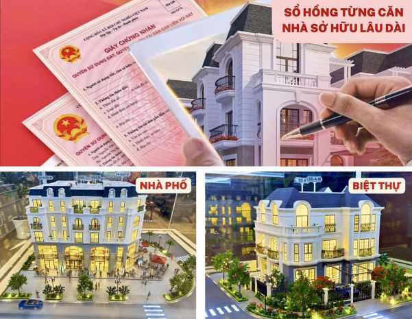 Hồng hạc city phú mỹ hưng 6x20, 5 tầng, 700m2, ls 0, tt 7532090