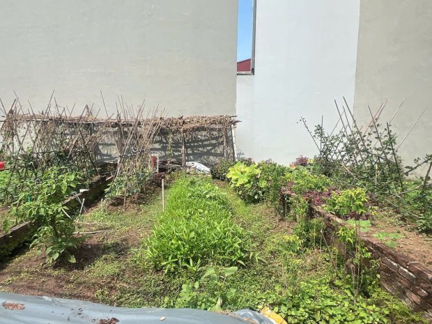 Bán 55m² đất trục chính đức thượng  2 ô tô tránh  kinh 7533826