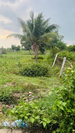 Bán 950m2 đất gàn biển hẻm lý thái tổ - tân tiến - lagi giá 7534730