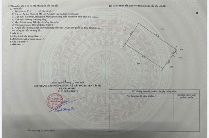 Cần bán 28 công sầu riêng monthong sầu thái đang cho trái 7536815