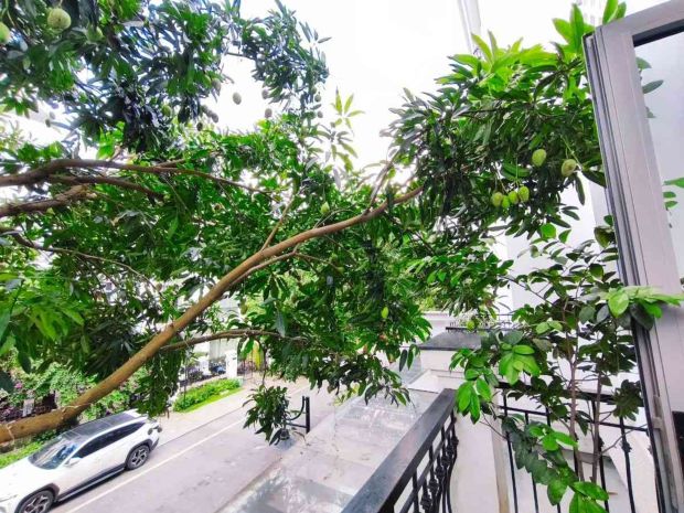 Nhà thật - vinhome riverside 85m gần hồ điều hòa 37 tỷ - 7537430