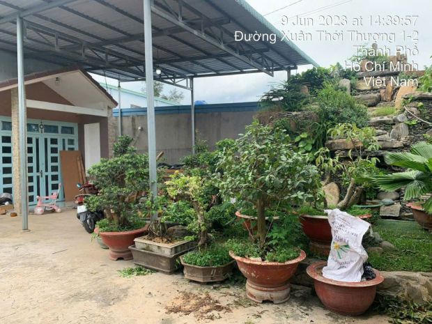 Gấp gấp  siêu phẩm đất lớn nở hậu dương công khi  giá chỉ 7538906