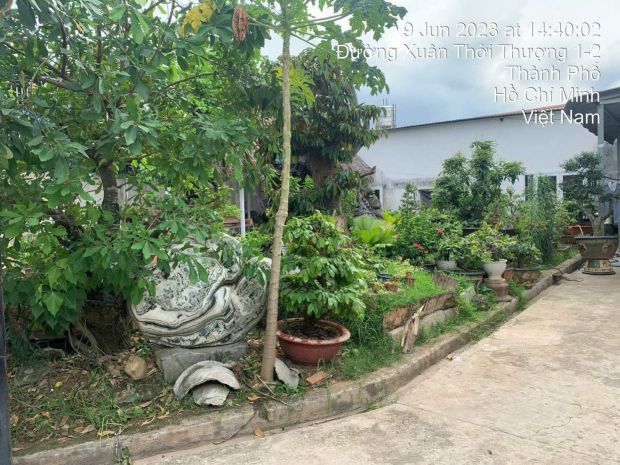Gấp gấp  siêu phẩm đất lớn nở hậu dương công khi  giá chỉ 7538907