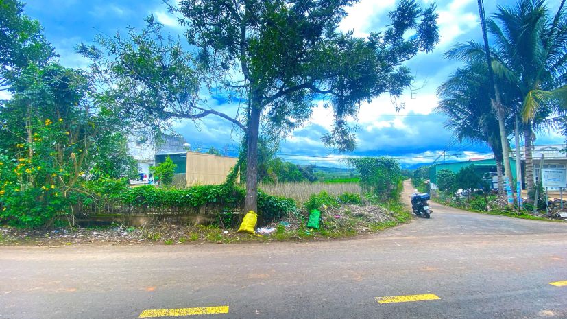 Tổng 3,9 sào - 2 mặt tiền nhựa chính tân thành, đức trọng cũ 7539678