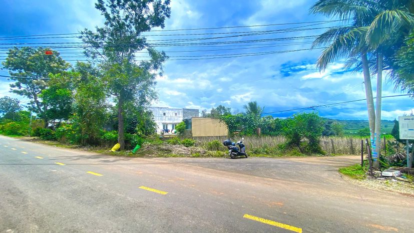 Tổng 3,9 sào - 2 mặt tiền nhựa chính tân thành, đức trọng cũ 7539680