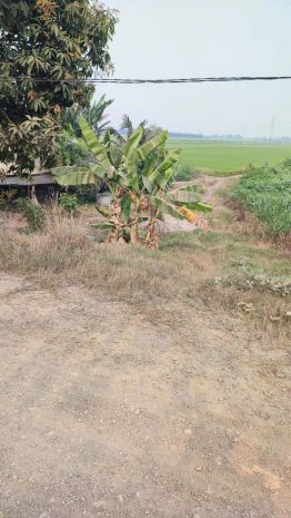 Đầu tư là sinh lời - chính chủ cần bán lô đất xã tân hoà, 7540641
