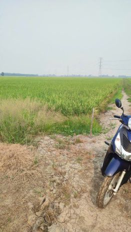 Đầu tư là sinh lời - chính chủ cần bán lô đất xã tân hoà, 7540644