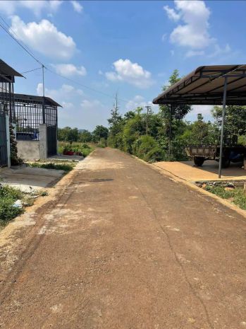 Tổng diện tích lên tới 1218m2, hướng bắc mát mẻ quanh năm 7541720