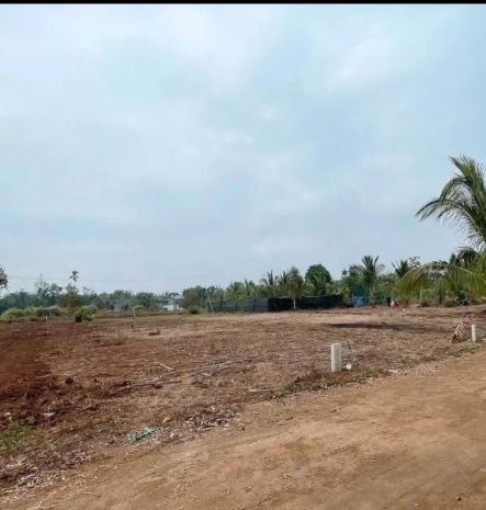 Tổng diện tích lên tới 1218m2, hướng bắc mát mẻ quanh năm 7541721