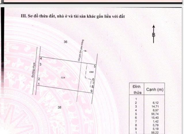 Tổng diện tích đất lên tới 1570m2, quá rộng rãi để các nhà 7541738
