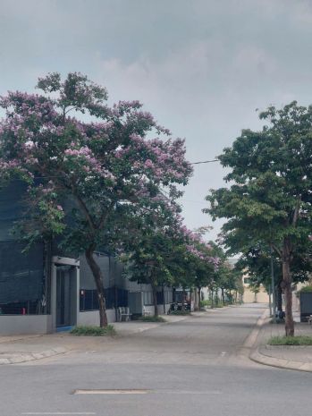 Bán đất 250m2 khu c - khu đô thị nguyên khê - đông anh - hà 7548018