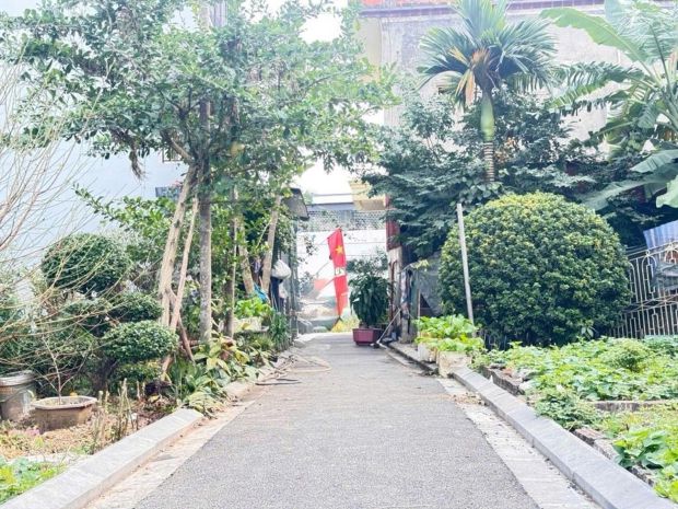 80m2 đất mai lâm đông anh - 5.2 tỷ 7548857