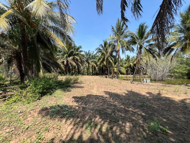Đất ven sông soài rạp long phước q9 4,8ha  mt 270m chỉ 7551042