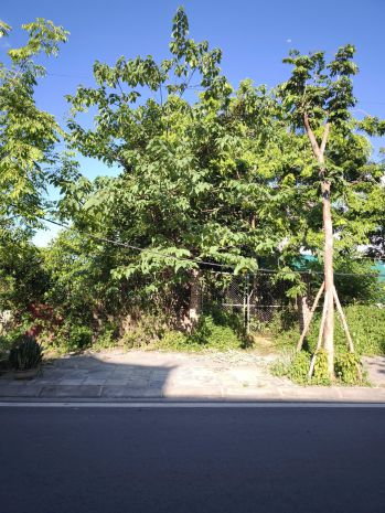 Lô góc đường rộng 40m, vỉa hè đá bóng. khu đất đấu giá 7553128