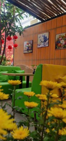 Chính chủ bán 2 lô đất liền kề + quán cafe đang hoạt động 7553574