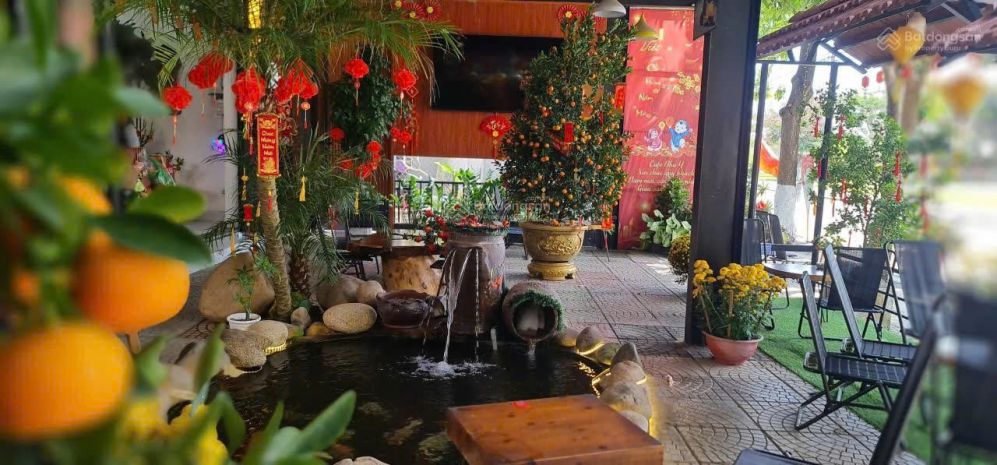 Chính chủ bán 2 lô đất liền kề + quán cafe đang hoạt động 7553575