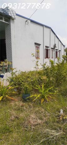 Bán nhà đất tân mỷ hậu nghỉa long an t ngay bệnh viện xuyên 7555005