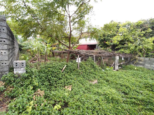 Bán gấp lô đất đẹp,full thổ cư,chỉ 5trm,trung tâm thị xã 7558013