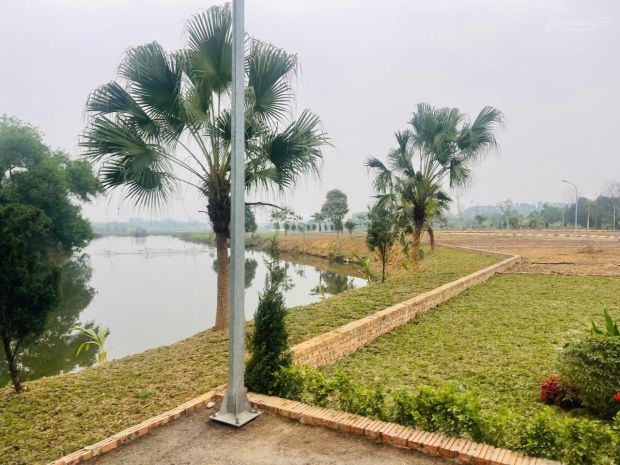 Giảm còn 2 tỷ 500 triệu lô đất 100m² full thổ cư đất 2 mặt 7559913