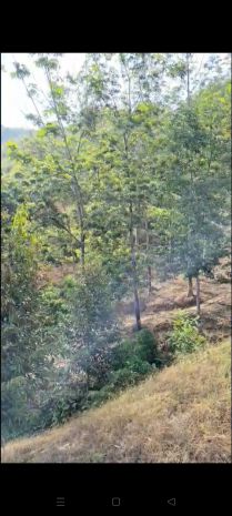 Hot hot  chính chủ cần bán 3,2ha đất trồng cao su  giá 7560087