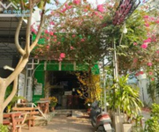Chính chủ cần bán nhà mặt tiền đường hàm nghi, bình khánh, 7560679